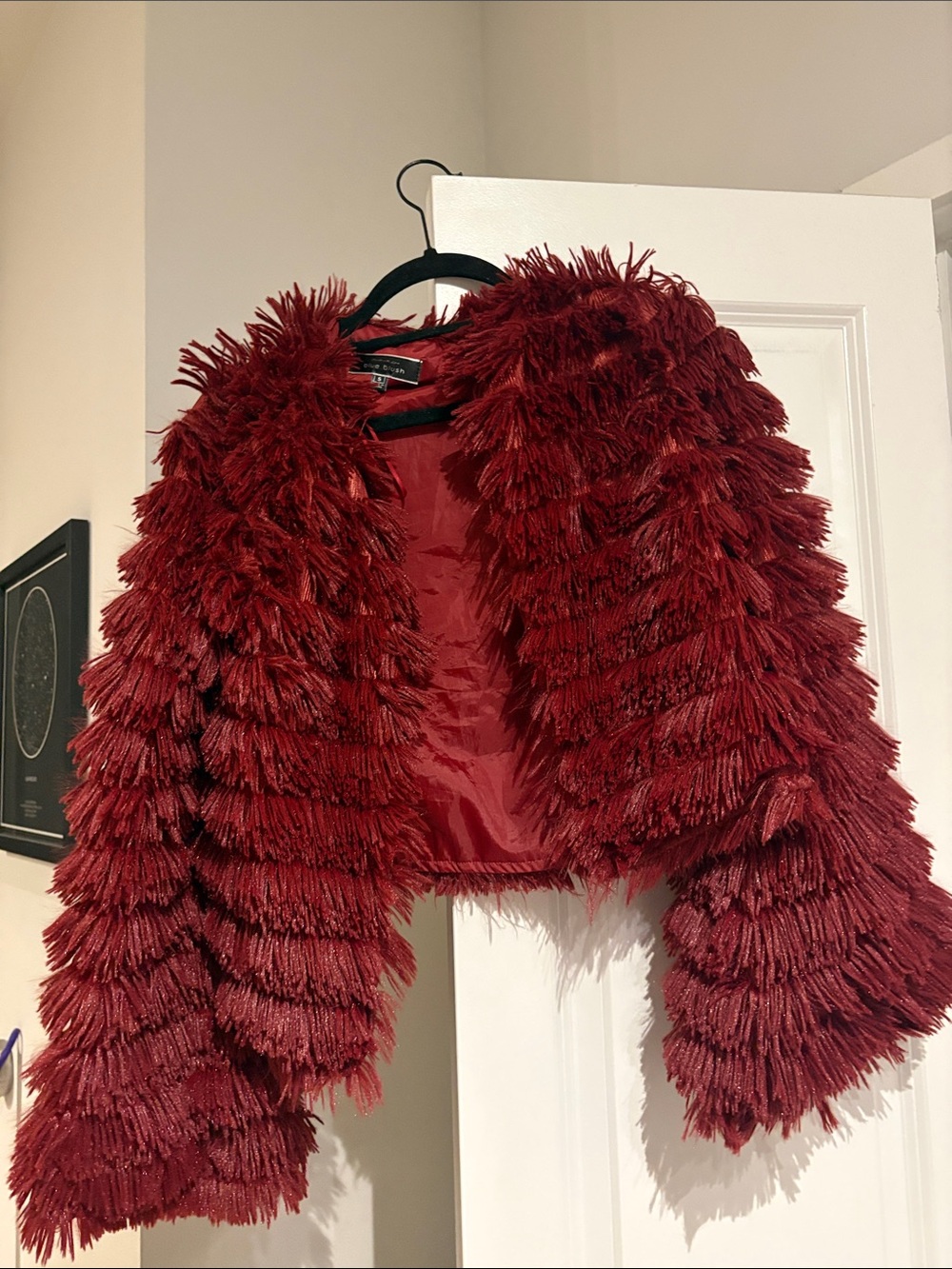 Blue Blush Faux-Fur Fringe Cropped Jacket - Deep Red